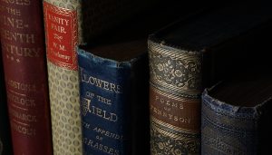 books-bookshelf-depth-of-field-1317259